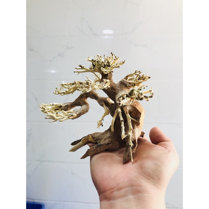 [Mã 99FMCGSALE giảm 8% đơn 500K] BONSAI LŨA GỖ MINI DÙNG CHO HỒ 20CM-40CM | THIẾT KẾ CỔ THỤ CHO HỒ THUỶ SINH