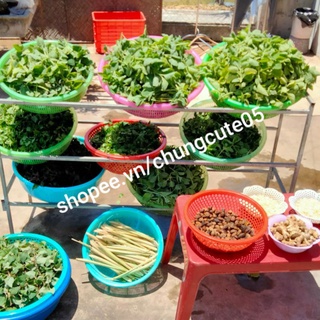 300ml Siro thảo dược 🌼 Siro cho bé [ Siro húng chanh, quất, ]