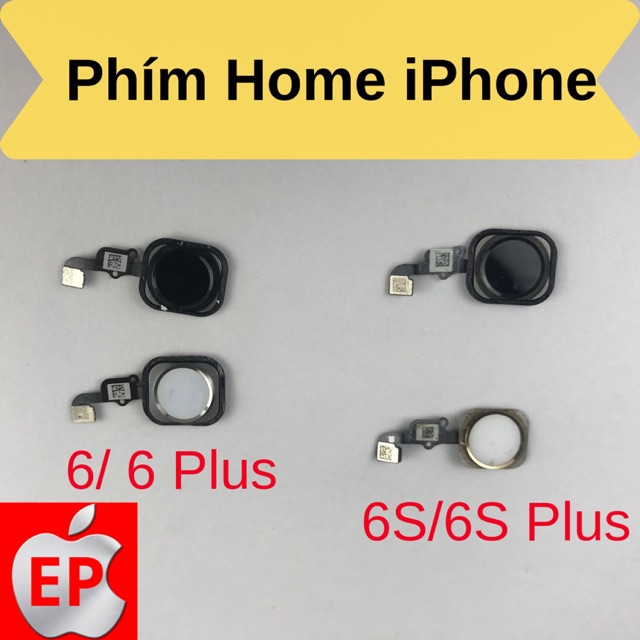 Phím nút home iPhone 6/ 6 Plus/ 6S/ 6S Plus zin bóc máy