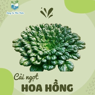 [Hạt giống Mỹ] - Cải hoa hồng Tatsoi