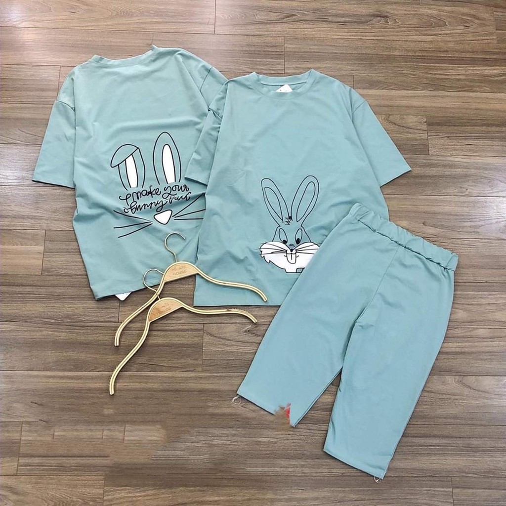 Đồ bộ nữ mặc nhà chất liệu vải thun Cotton 100%, 3 size, 45-80kg vừa, 672, In hình thỏ | BigBuy360 - bigbuy360.vn