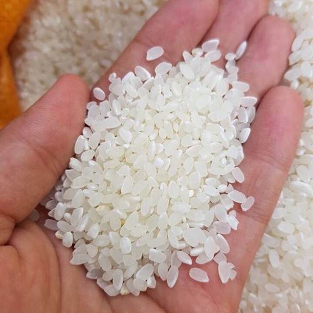 Gạo hữu cơ Nhật Bản xuất khẩu thơm ngon