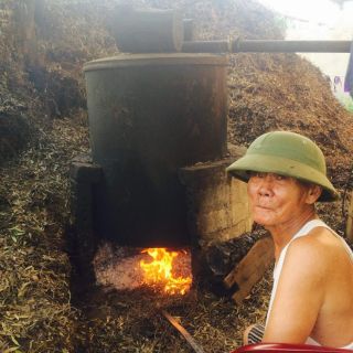 Tinh dầu tràm nguyên chất