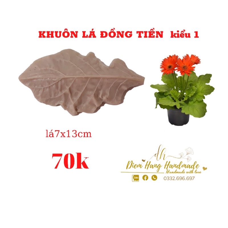 Gân lá hoa đồng tiền(khuôn nhựa )