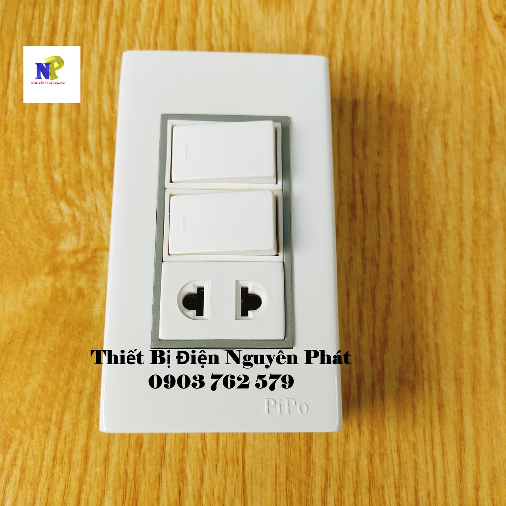 Taplo Giả Âm PIPO Ráp Sẳn PN10 - Hàng Cao Cấp