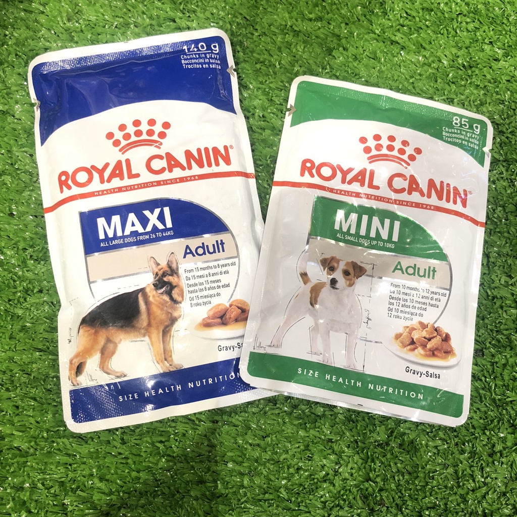 Pate dành cho chó trưởng thành Royal Canin Adult