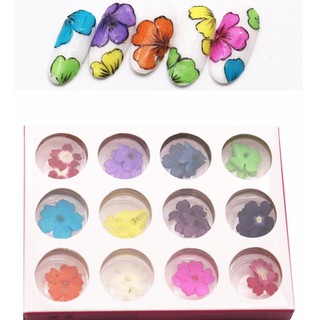 Set hoa khô ẩn gel các loại