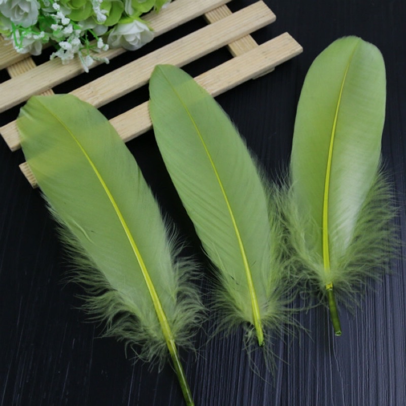 Lông vũ 15-20cm 30 màu sắc độc lạ