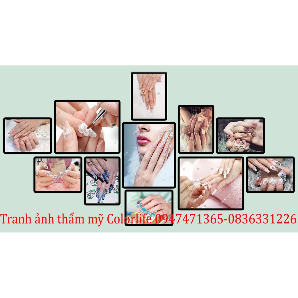 TRANH NAIL MI TRANG TRÍ TIỆM NAIL SIÊU ĐẸP GIÁ XƯỞNG SEONAIL3 ÁNH DƯƠNG SIÊU BỀN BẢO HÀNH 2 NĂM