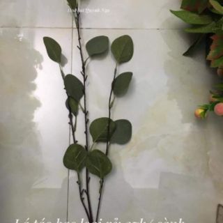 Lá táo bạc loại đắt/ loại rẻ