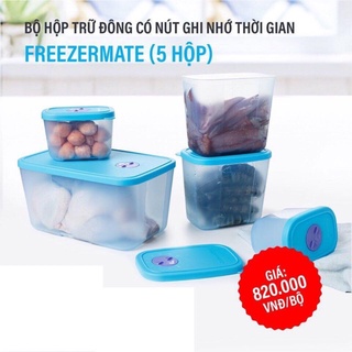 Bộ hộp trữ đông set 5