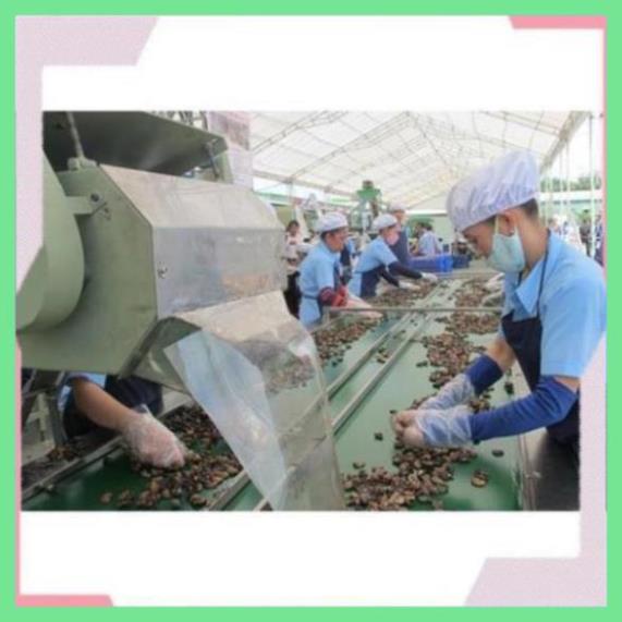 Hạt Điều Rang Muối Ngon, Hạt Điều Bình Phước, Điều Loại 1, Hạt Điều Nguyên Lụa, Hạt Điều Sấy, Hạt Điều 500g | BigBuy360 - bigbuy360.vn