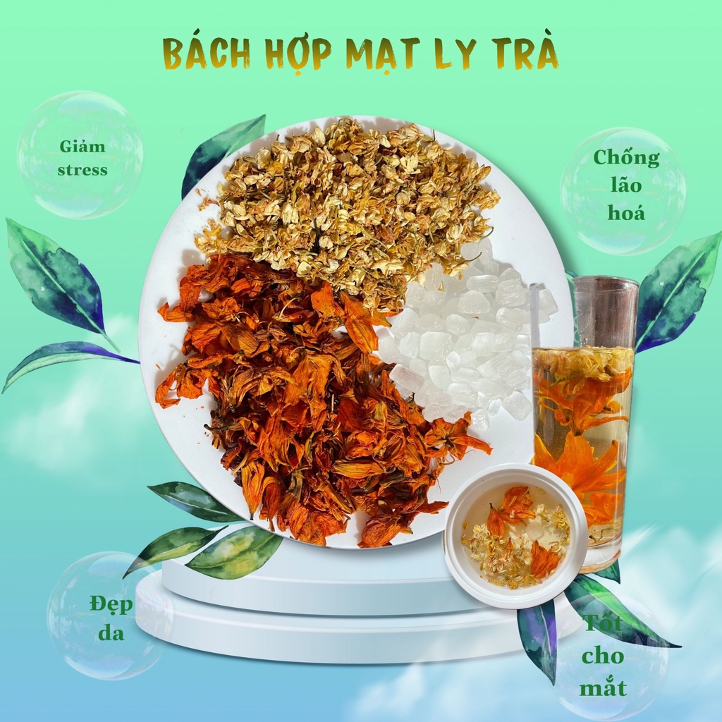 ( Có đường 0 calo) Trà hoa thảo mộc hoa bách hợp và nhài Bách Hợp Mạt Ly