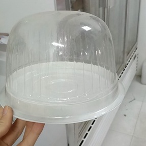 Bộ 100 hộp nhựa đựng bánh H15,H25 cao, A1680 đựng bánh bông lan trứng muối