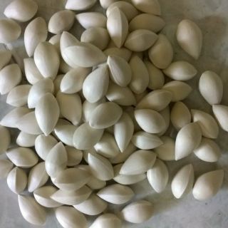 100 gr hạt bạch quả