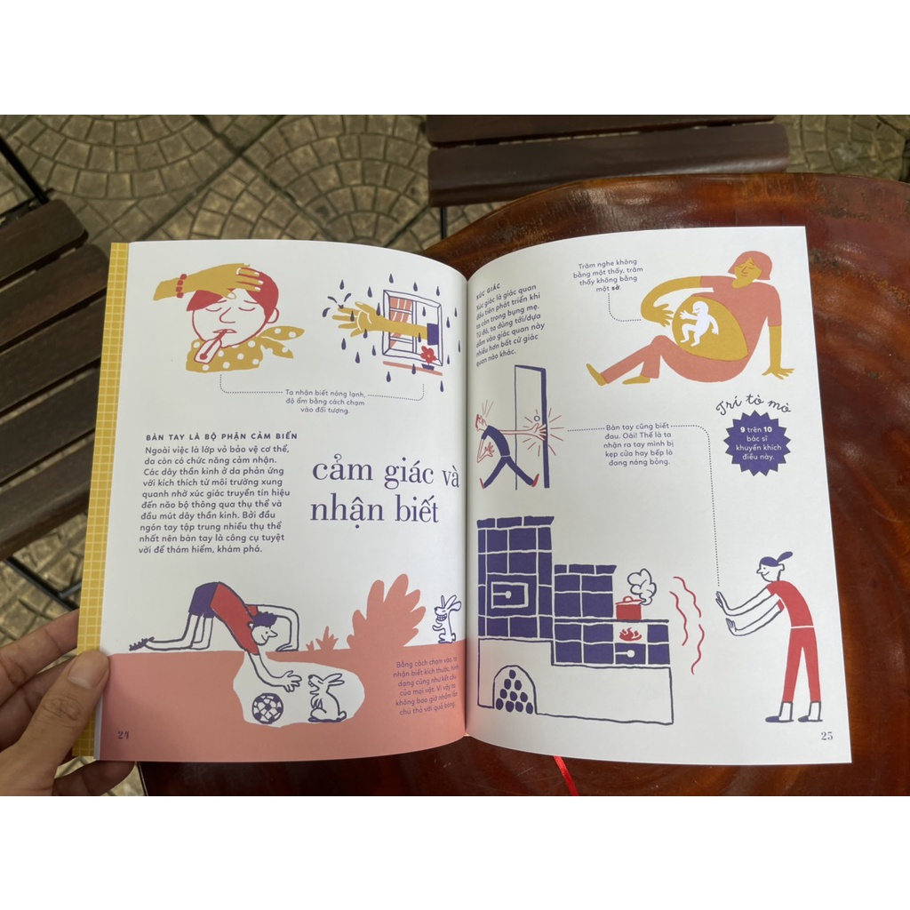 Sách - (Bìa cứng in màu) Tỏ tường tay ta - Vítězslav Mecner - Magda Garguláková-Thư Vũ dịch-San Hô Books–NXB Thanh niên