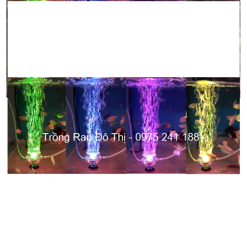 Đèn pha LED đổi màu kết hợp sủi bể cá