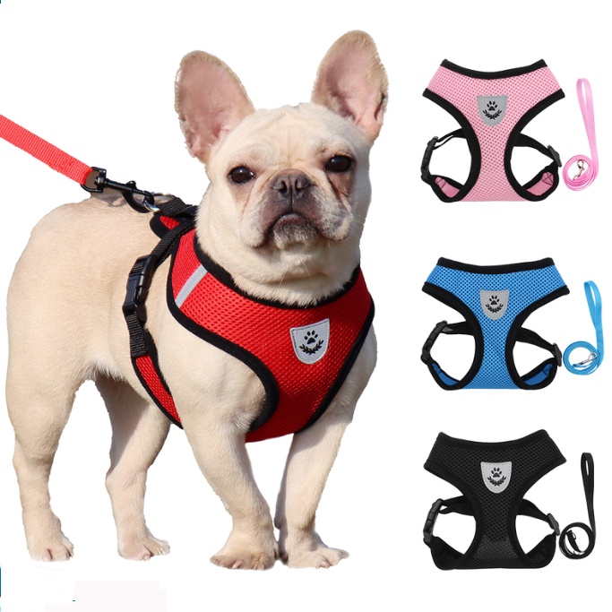 Áo Vest Thoáng Khí 27Pets Dùng Dắt Thú Cưng Đi Dạo