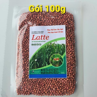 Cỏ Sudan Lai - Cỏ Ngô (Gói 100g) Giống Cỏ Chăn Nuôi Năng Suất Cao