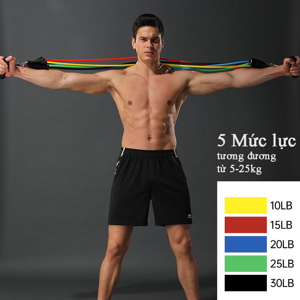 Dây Ngũ Sắc Tập Gym Đa Năng Full Body - Dây Kháng Lực Tập Gym