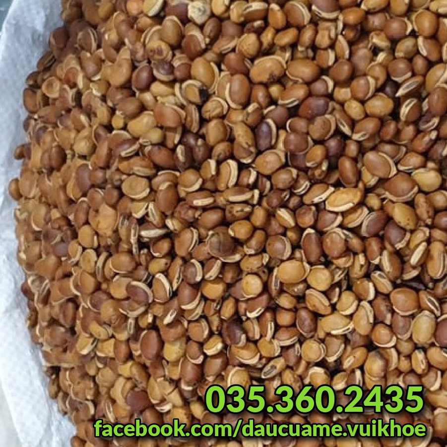 Đậu ván quê rang sẵn