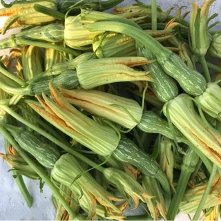 10 Hạt Giống Bí Nụ Siêu Trái Lai F1