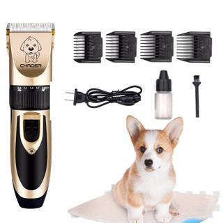 🐱🐶 FULL BỘ TÔNG ĐƠ CẮT LÔNG CHÓ MÈO CHAOER KÈM KÉO VÀ LƯỢC