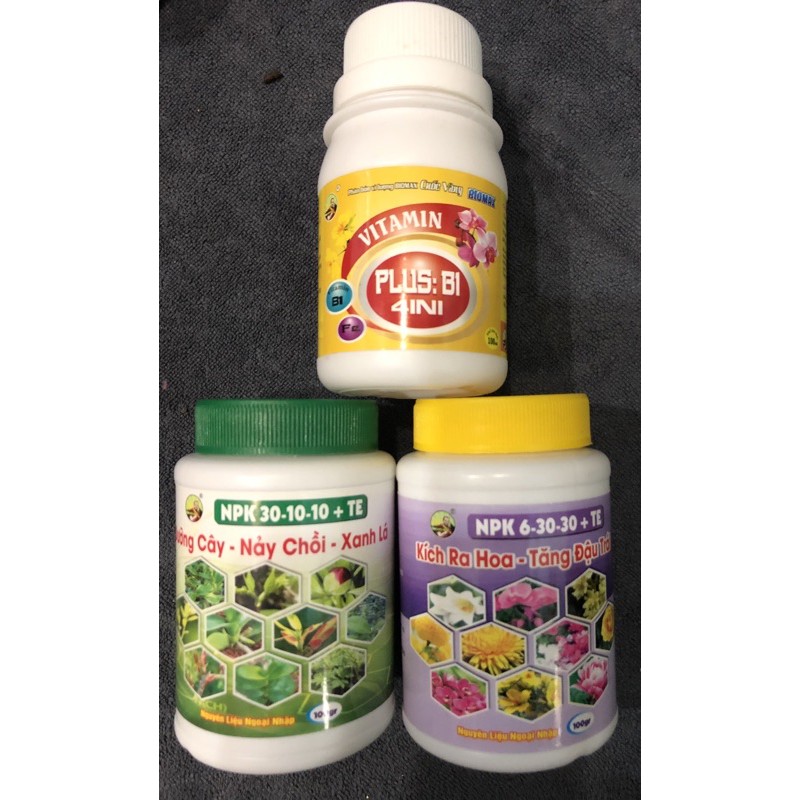 Bộ ComBo 3 Món DƯỠNG CÂY - KÍCH RA HOA - VITAMIN B1 Chuyên Dùng Cho Phong Lan Hoa Kiểng - Npk 30-10-10 Và 6-30-30 Và B1