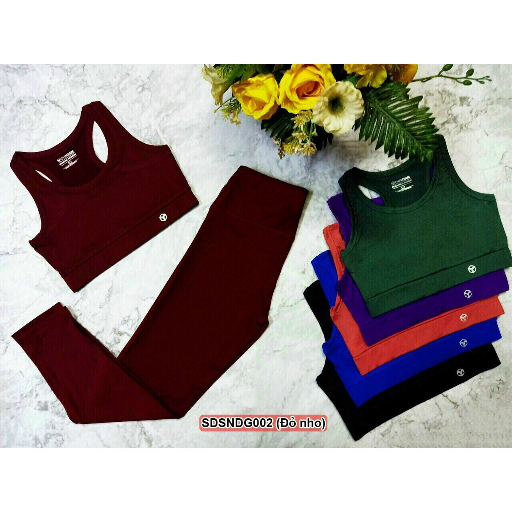 Bộ tập Gym nữ quần Legging áo Bra khóa Lưng chất đẹp chống sốc áo vest tập thể dục Yoga Aerobic TT001