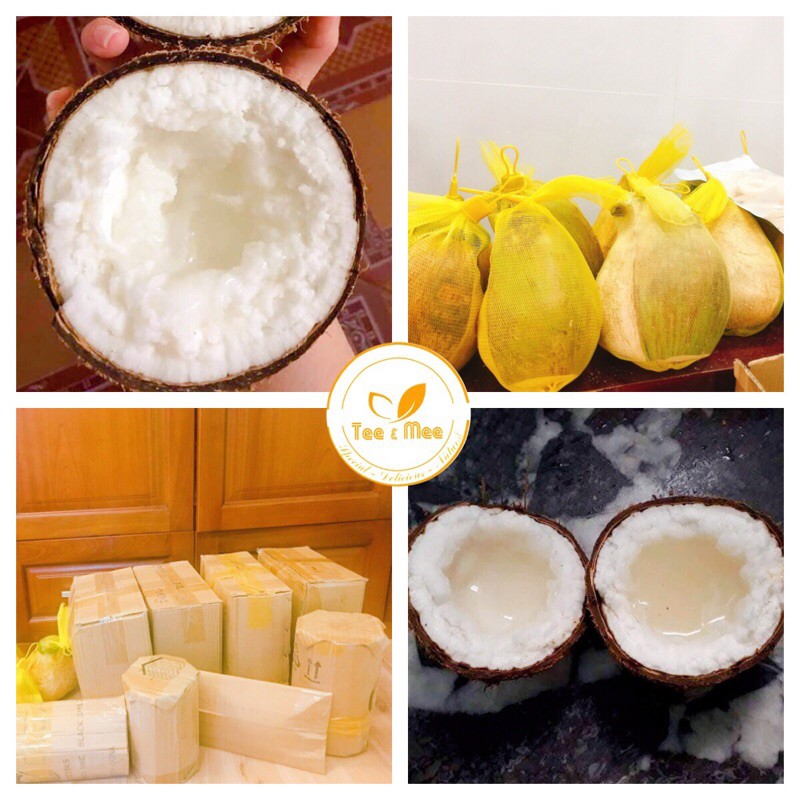 [Mã 267FMCGSALE giảm 8% đơn 500K] Dừa Sáp Đặc Biệt - Size Nhỏ Dùng Thử - Cơm Siêu Dày - Tee & Mee