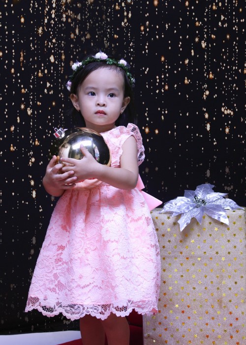 Đầm tiệc bé gái ren hoa hồng GDT004 Jadiny