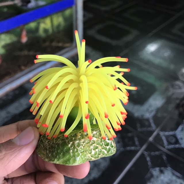 RONG DẠ QUANG TRANG TRÍ HỒ CÁ NON BỘ CAO 7CM