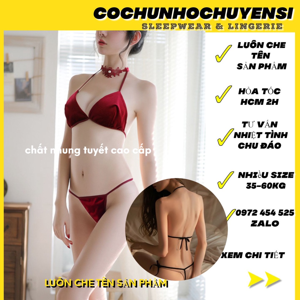Bk041  - Bộ đồ lót lọt SEXY khe nhung quyến rũ cho nữ - cochunhochuyensi | BigBuy360 - bigbuy360.vn