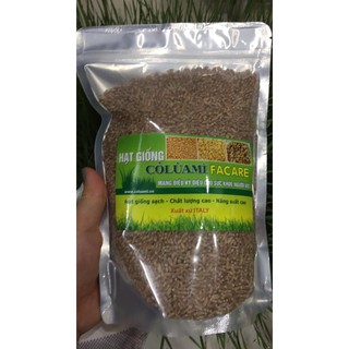 chauho Hạt giống cỏ lúa mì