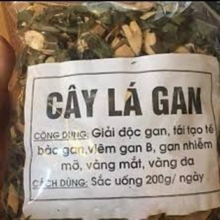Cây lá gan 1 kg hỗ trợ hạ men gan