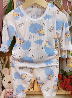 Bộ cotton giấy dài tay cho bé