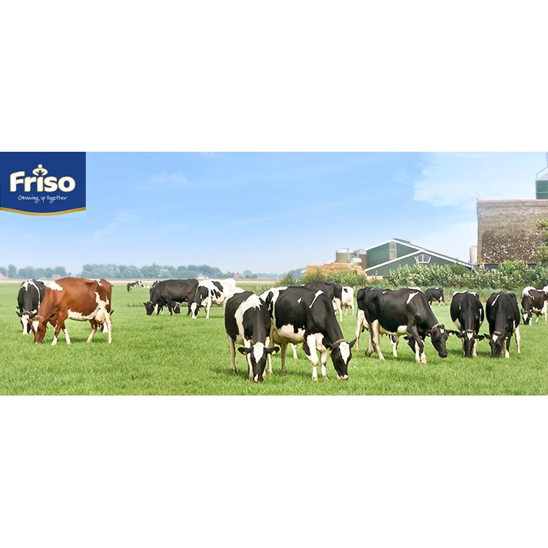 [CHÍNH HÃNG] Sữa Bột Friesland Campina Friso Gold 5 - Hộp 1,5kg (Ngôi sao sáng ngời, sản phẩm dinh dưỡng công thức)