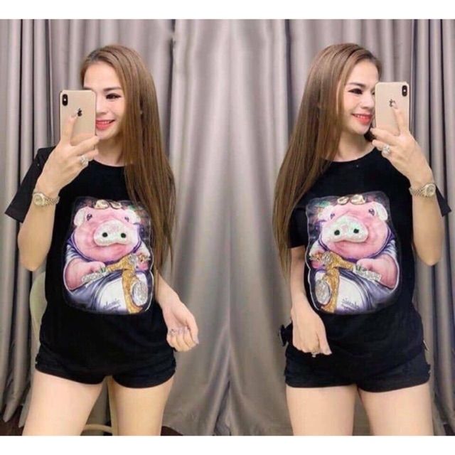 Áo mèo, lợn kim sa