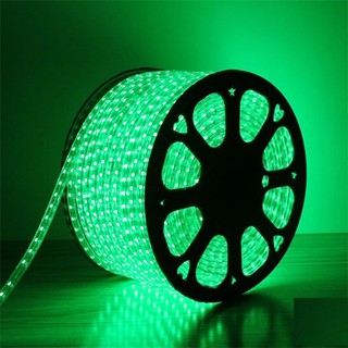 Đèn trang trí đèn led dây ống trang trí (nhận từ 10m )bán theo mét