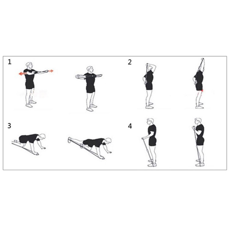 Dây Đàn Hồi Tập Thể Lực Hình Số 8