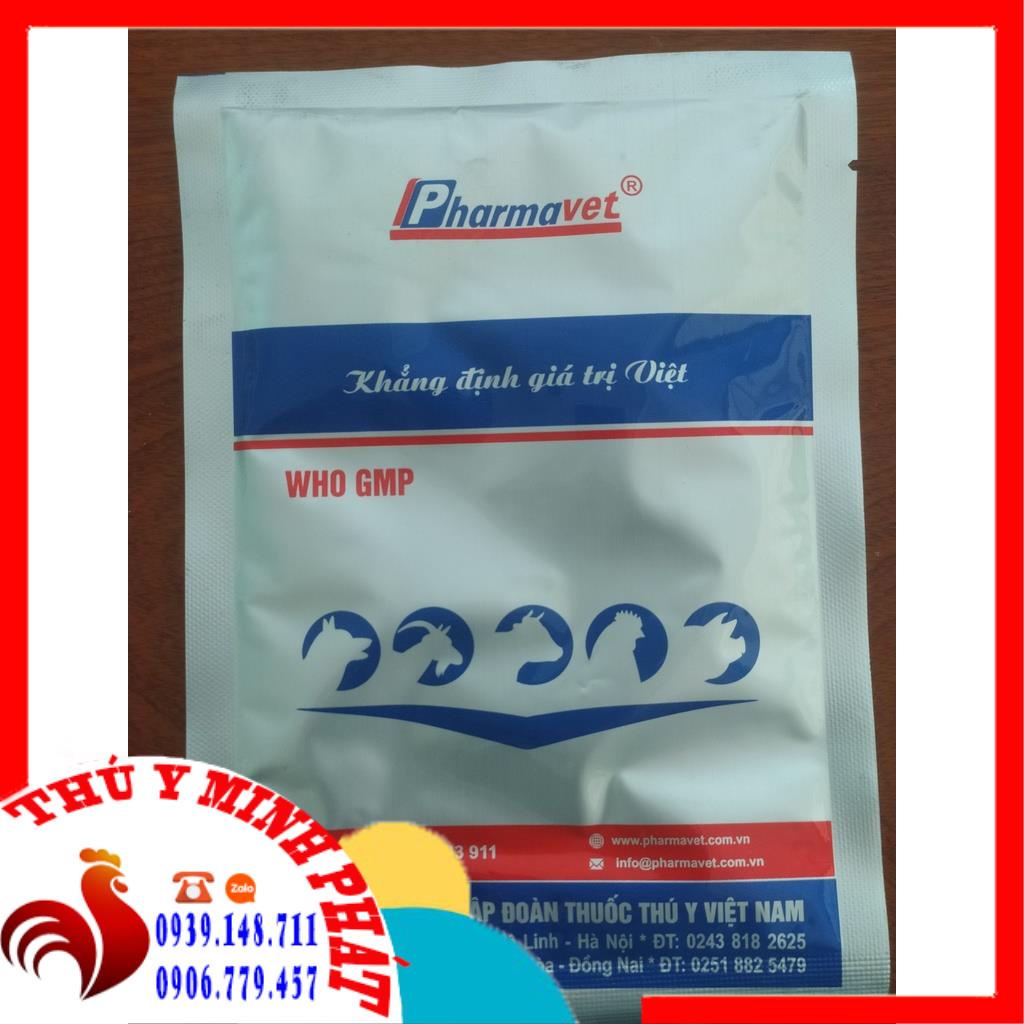 TIÊU CHẢY CẤP GÓI 100G NGỘ ĐỘC THỨC ĂN