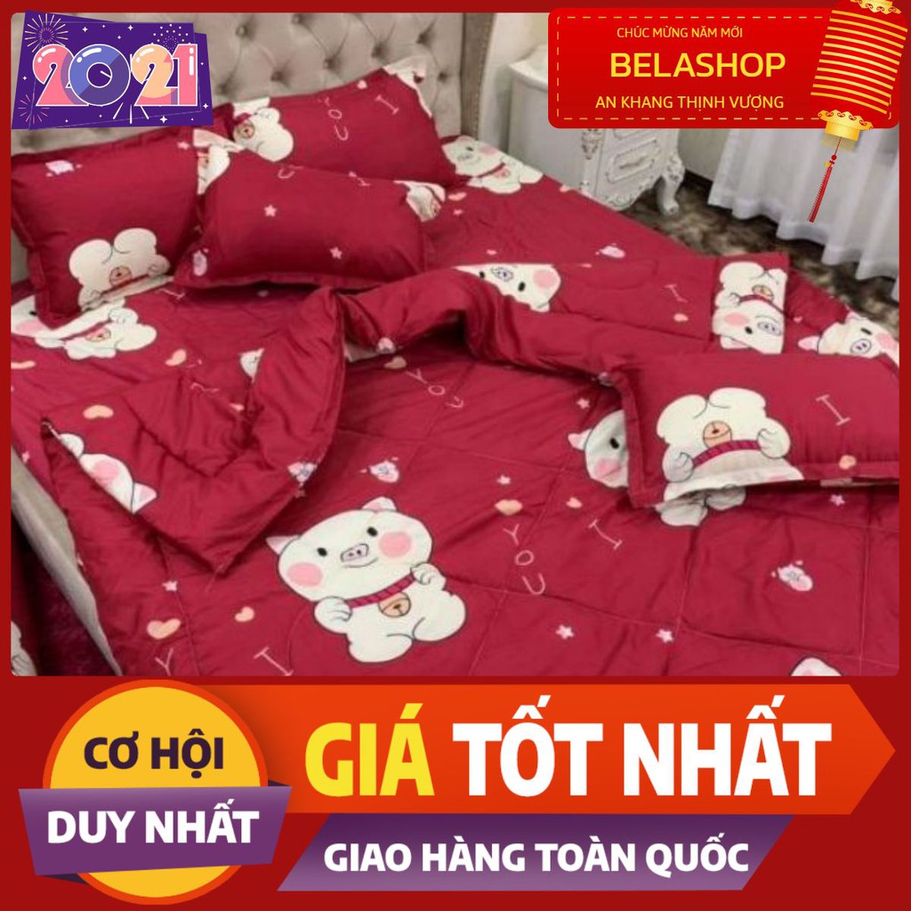 Set ga gối 4 món mẫu heo đỏ 1m2