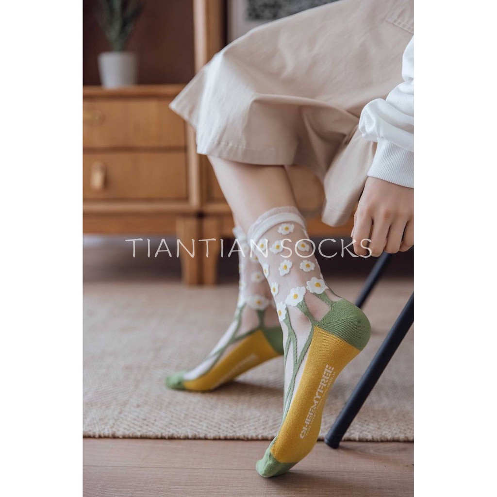 TIAN TIAN T039 Vớ tất trong suốt họa tiết hoa cúc phong cách Nhật Bản