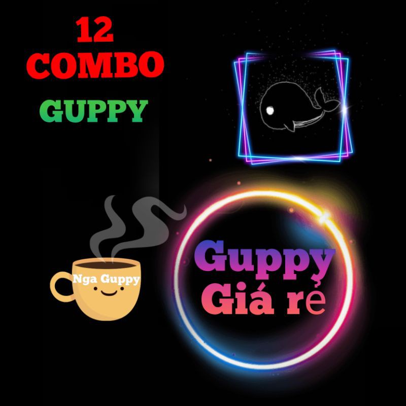 🐟12 COMBO GUPPY Trang Trí Hồ Cá- Nga Guppy - Xem kỹ hình ảnh bên phải 👉