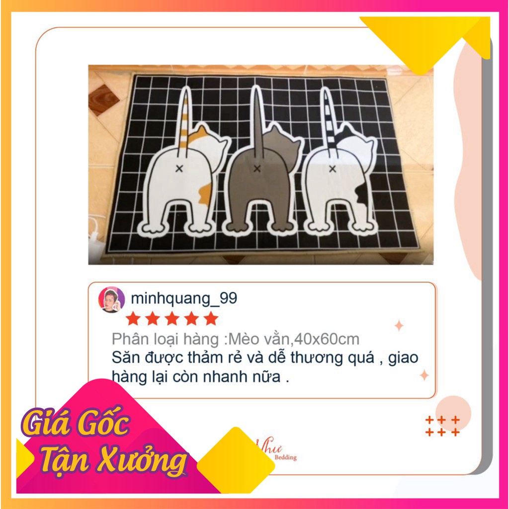 Thảm chùi chân, thảm lau chân 3D kích thước 40x60(cm)