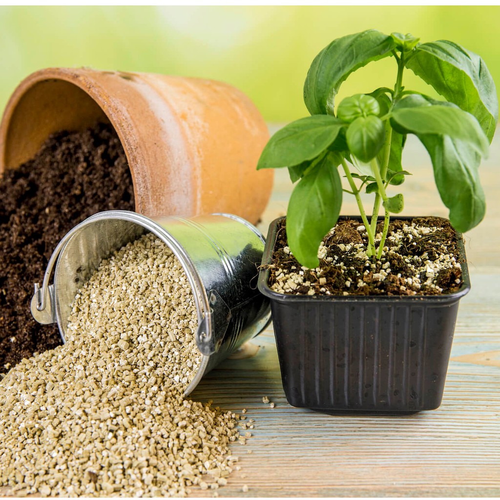 Đá Vermiculite Trồng Cây, Hoa Kiểng (Gói 200gr)