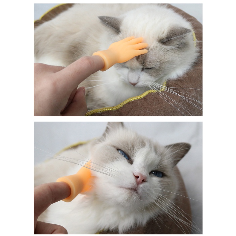 Đồ chơi bàn tay mini massage chơi đùa cùng mèo cưng