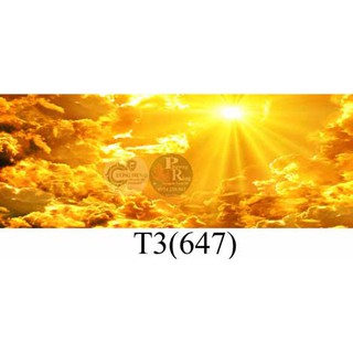 Tranh 3D dán bể cá cảnh hồ thuỷ sinh