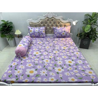 ga lẻ size 1m6x2m
