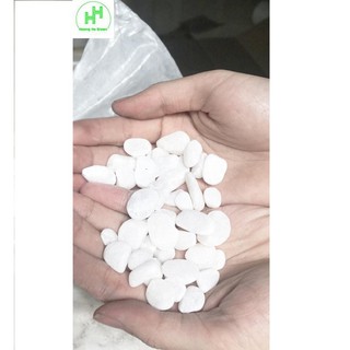 Sỏi Trắng Xếp Quanh Gốc Cây Trọng Lượng 0,5kg